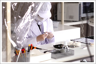 �f�[�^���������̕�����ƒ��ʐ^