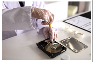 ������ƒ��ʐ^ ����